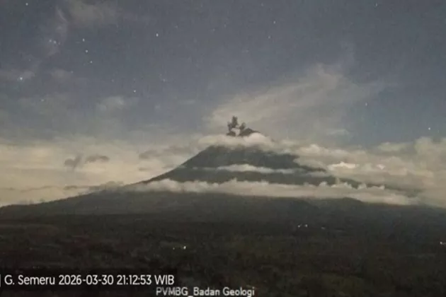 Gunung Semeru Meletus Lagi, Kolom Abu Vulkanik Capai 600 Meter di Atas Puncak