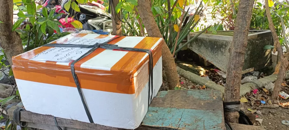 Kotak Berisi Bangkai Kucing Bikin Geger Warga Pasar Kemis Tangerang