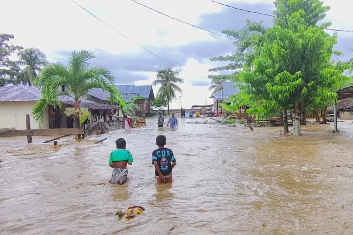 Krisis Banjir Donggala: 552 Bangunan di Sirenja & Balaesang Sulawesi Tengah Terendam Luapan Sungai