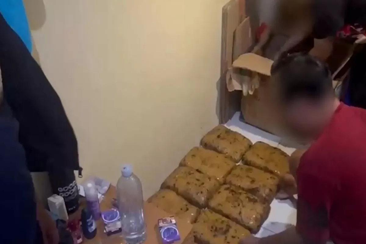 Polda Metro Jaya Bongkar Peredaran Ganja 33,6 Kg, 2 Tersangka Ditangkap