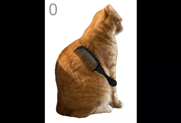 AWAS JANTUNGAN! Brush Jjaemu Viral: Game Sisir KUCING OYEN yang Bikin Emosi, Coba Klik LINK INI 
