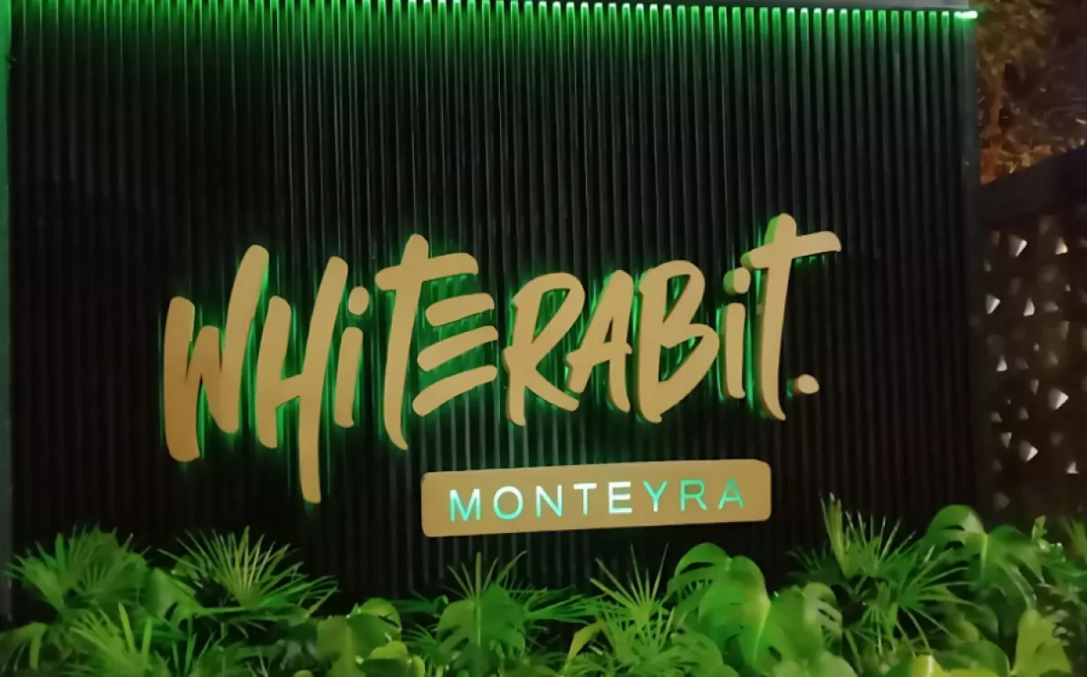 Terseret Kasus Narkoba, Klub Malam White Rabbit PIK Ditutup, Izin Usaha Dicabut