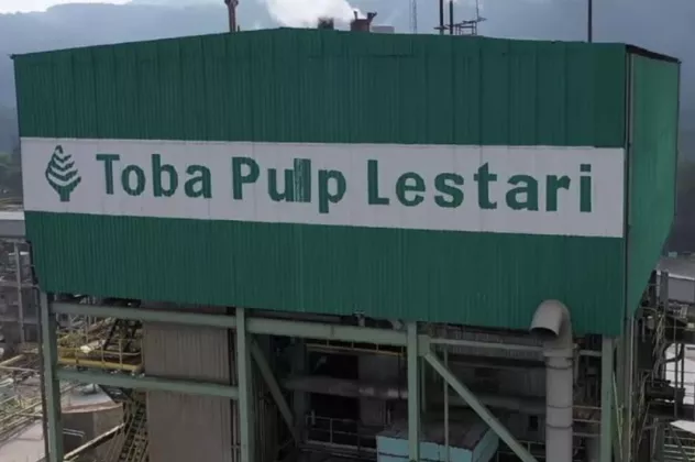 Badai PHK Toba Pulp Lestari: Izin Hutan Dicabut Negara, Ratusan Karyawan Jadi Korban!