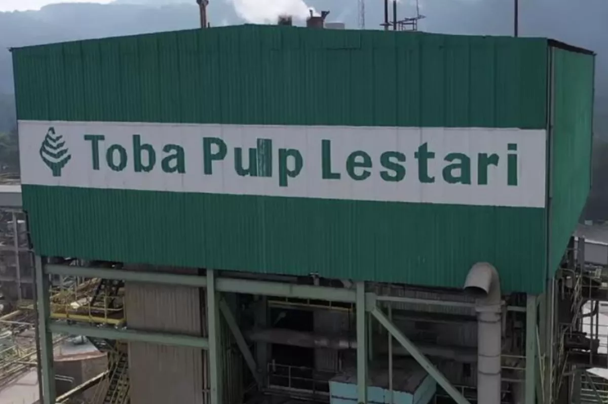 Badai PHK Toba Pulp Lestari: Izin Hutan Dicabut Negara, Ratusan Karyawan Jadi Korban!
