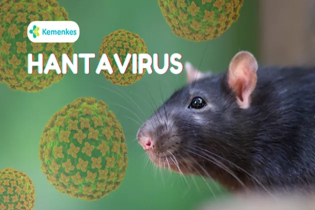 Waspada! DKI Jakarta Temukan 4 Kasus Hantavirus pada 2026, Ini Penjelasan Dinkes