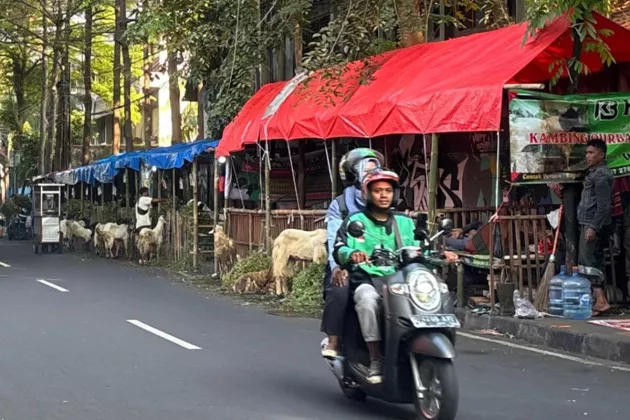 Lapak Kambing Kuasai Trotoar, Camat Johar Baru Akui Kecolongan