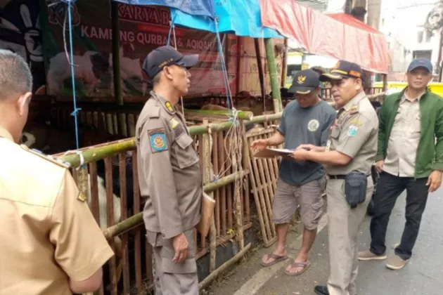 Satpol PP Tertibkan Lapak Hewan Kurban di Trotoar Johar Baru