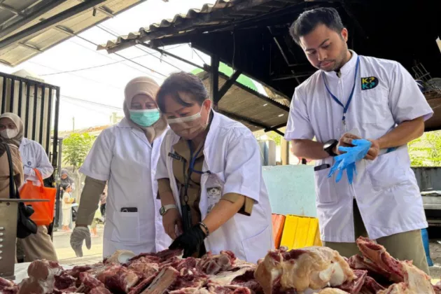 Daging Kurban Dipastikan Aman, KPKP Jakut Periksa Organ Hewan di Lokasi Pemotongan