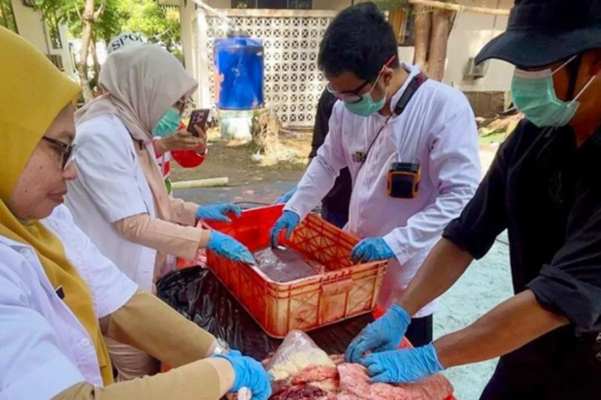 7.075 Hewan Kurban Diperiksa, Ratusan Kilo Jeroan Tak Layak Konsumsi