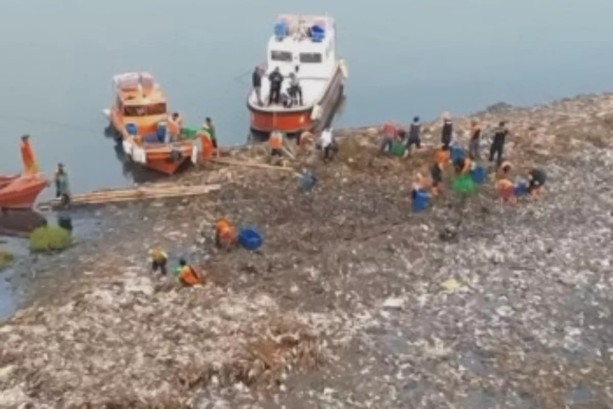 Viral Sampah Bak Pulau di Muara Angke, DLH Sebut Kiriman dari Tangerang dan Bekasi