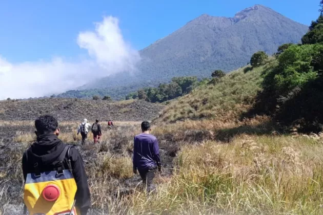 Hanguskan 98,28 Hektare Savana, Kebakaran di Taman Nasional Gunung Rinjani Berhasil Dipadamkan