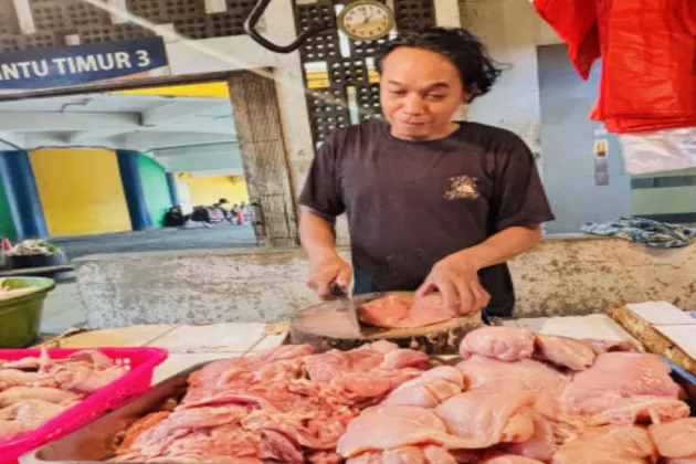 Harga Ayam di Pasar Senen Naik, Pedagang Keluhkan Omzet Merosot