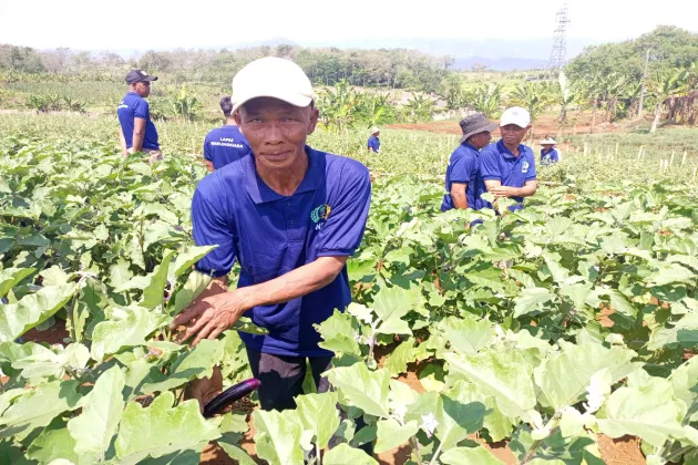 Napi Lapas Warungkiara Kelola Kebun dan Peternakan, Hasil Dipasarkan hingga Bandung dan Tangerang