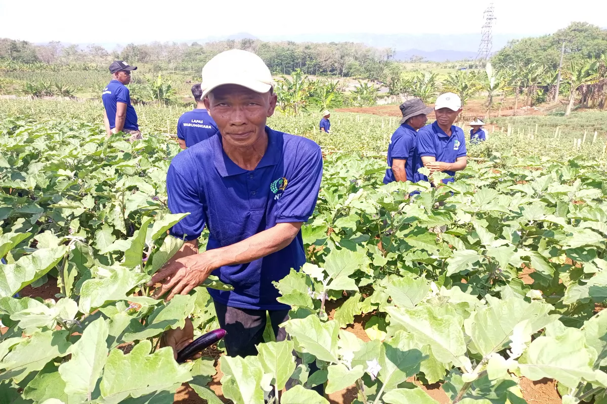 Napi Lapas Warungkiara Kelola Kebun dan Peternakan, Hasil Dipasarkan hingga Bandung dan Tangerang