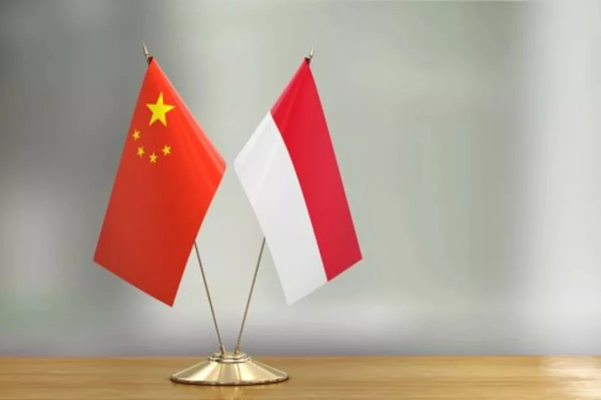 Beijing Yakin Pemerintah RI Bisa Lindungi Kepentingan Perusahaan China di Indonesia