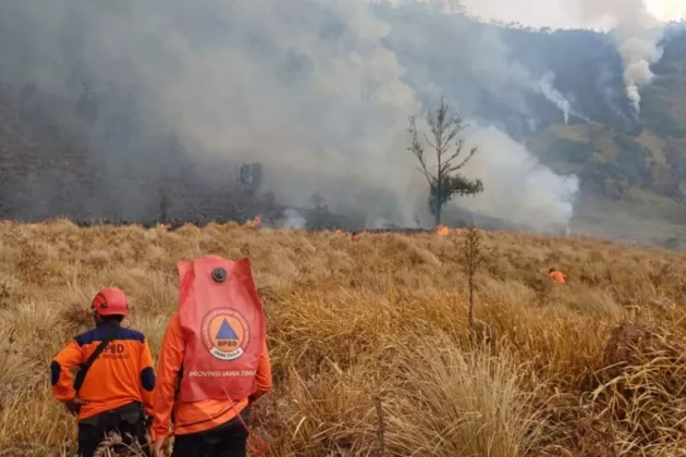 Karhutla Gunung Bromo Kian Meluas: Api Merambat hingga Probolinggo, Hanguskan 7,9 Hektare Lahan!