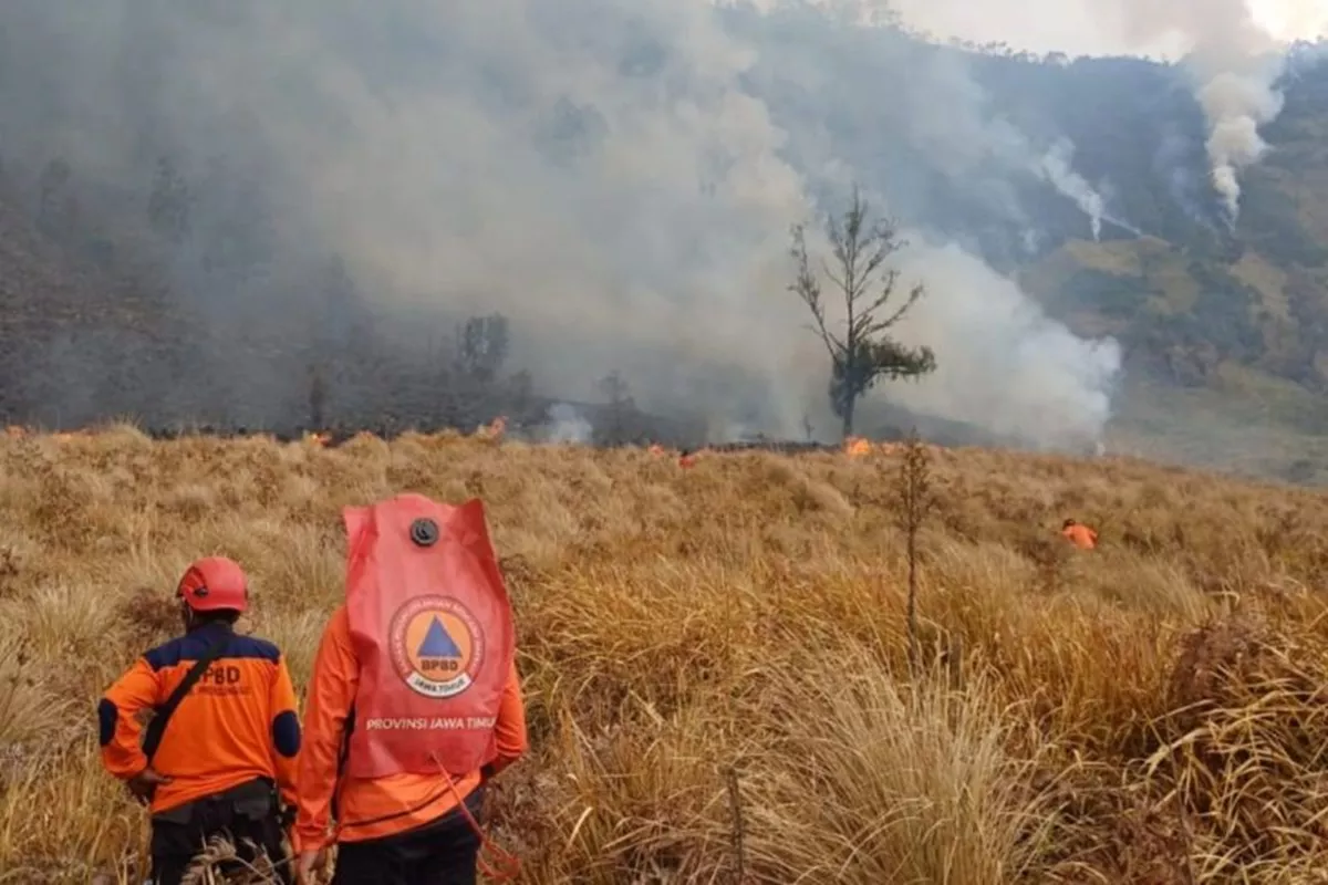 Karhutla Gunung Bromo Kian Meluas: Api Merambat hingga Probolinggo, Hanguskan 7,9 Hektare Lahan!