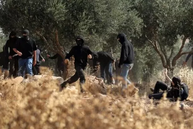 Biadab! Warga Israel Tingkatkan Serangan pada Komunitas Badui di Ramallah, hingga Ribuan Kali