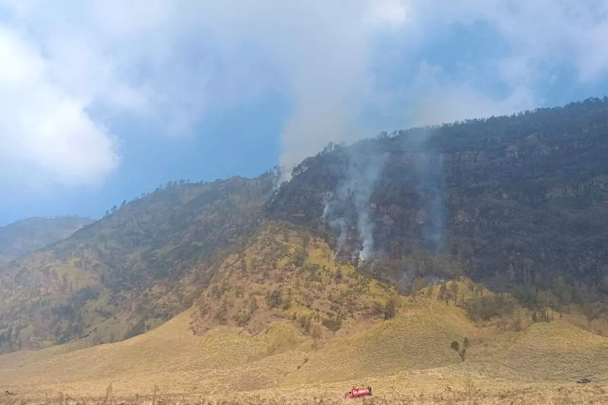 Kebakaran Gunung Bromo Diduga Gegara Ada yang Bikin Api Unggun, Harus Dicari Pelakunya!