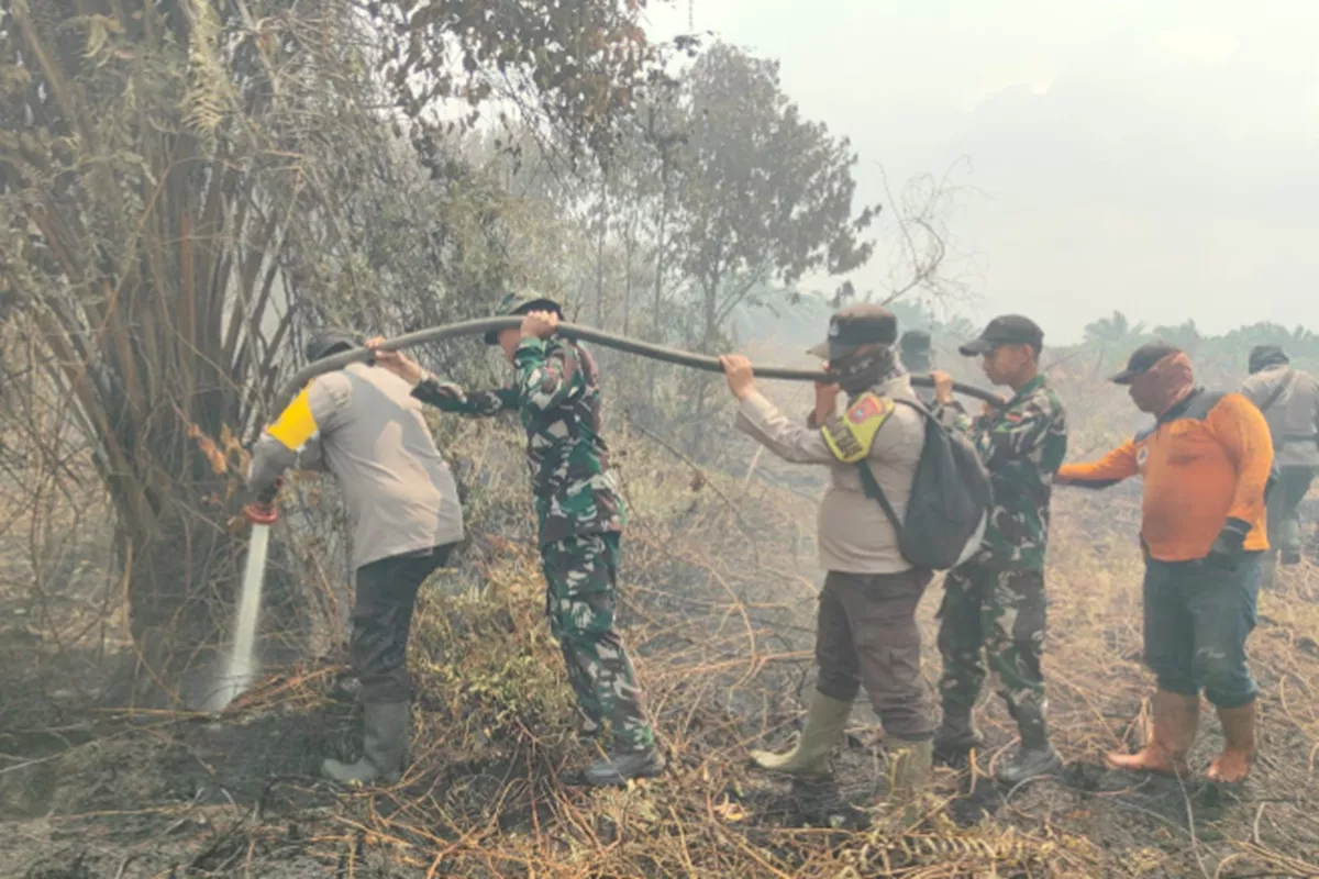 Karhutla Mengamuk di Bengkalis, 11 Hektare Lahan Terbakar