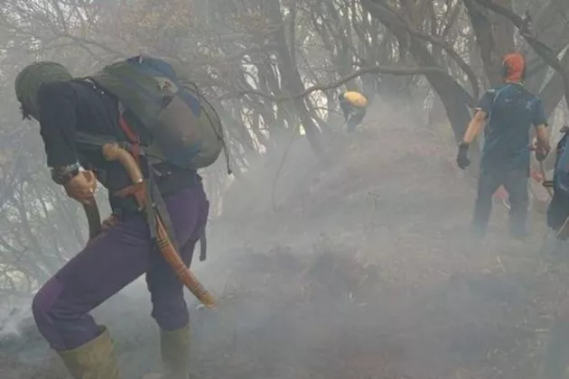 Kebakaran Gunung Gede Meluas, 150 Petugas Berjibaku Padamkan Api di Kawah Wadon