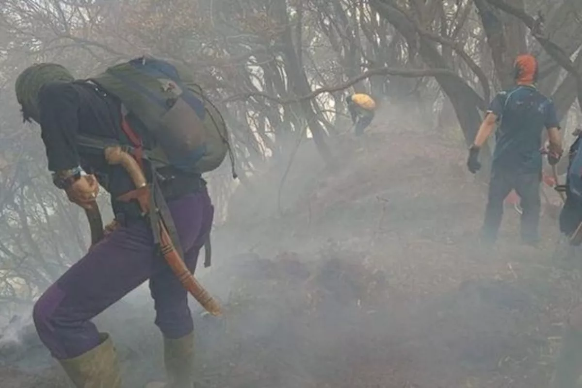 Kebakaran Gunung Gede Meluas, 150 Petugas Berjibaku Padamkan Api di Kawah Wadon