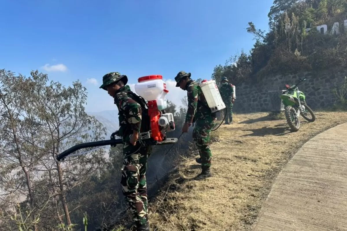 Penanganan Karhutla Bromo: Tim Gabungan Fokus Dinginkan 8 Hotspot, Tidak Ada Titik Api Baru