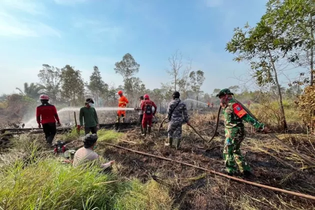 Kebakaran Taman Nasional Way Kambas Padam, Kemenhut Pastikan Populasi Gajah Sumatra Aman