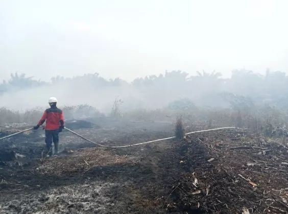 Cegah Karhutla Berkelanjutan, PT Mayawana Persada Terapkan Tata Kelola Hidrologi Presisi pada Lahan Gambut