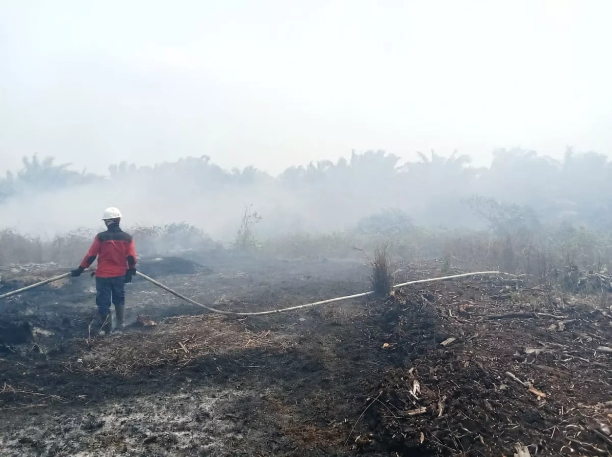 Cegah Karhutla Berkelanjutan, PT Mayawana Persada Terapkan Tata Kelola Hidrologi Presisi pada Lahan Gambut