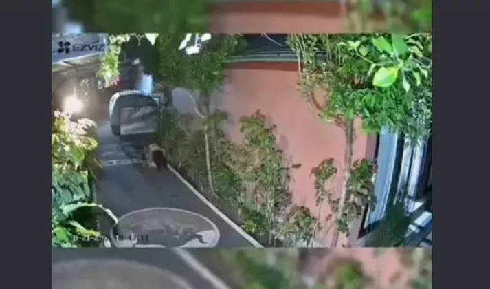 Polisi Tangkap Bule Australia yang Mesum Depan Rumah Warga di Badung