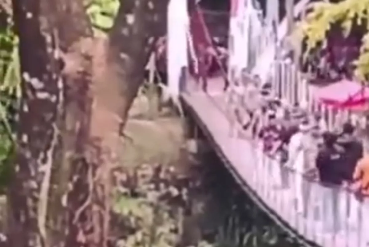 Mencekam! 50 Orang di Atas Jembatan Gantung Pongpet Pangandaran Ambruk Seketika Usai Diresmikan