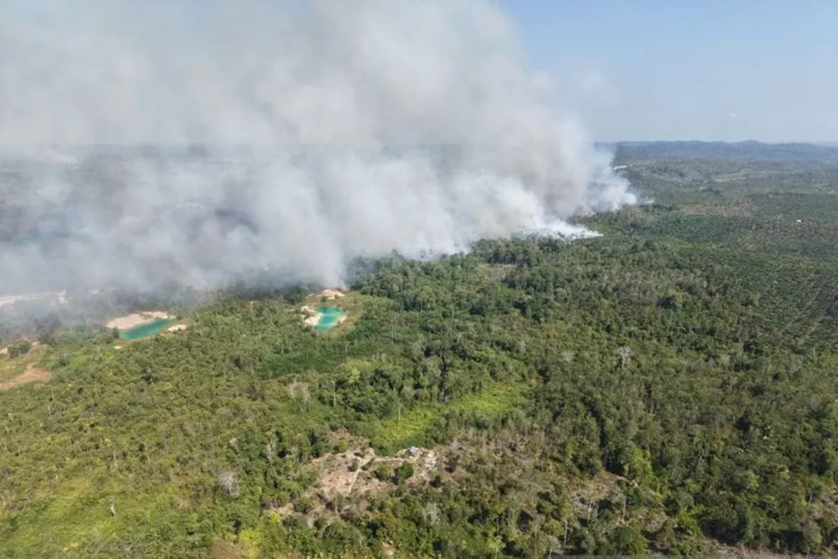 Karhutla Kembali Berkobar di Dekat IKN, TNI AU Kerahkan Helikopter Caracal