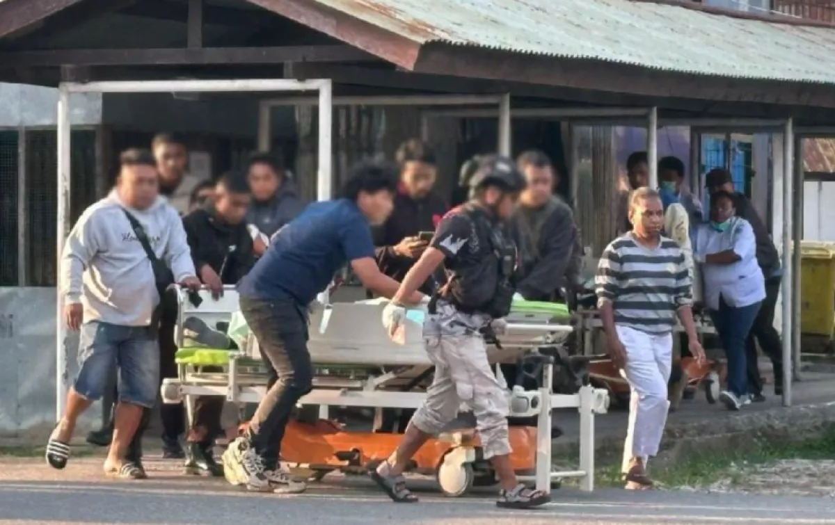 Kronologi Rombongan ASN Dinas Pertanian Ditembak KKB Papua, 3 Orang Tewas
