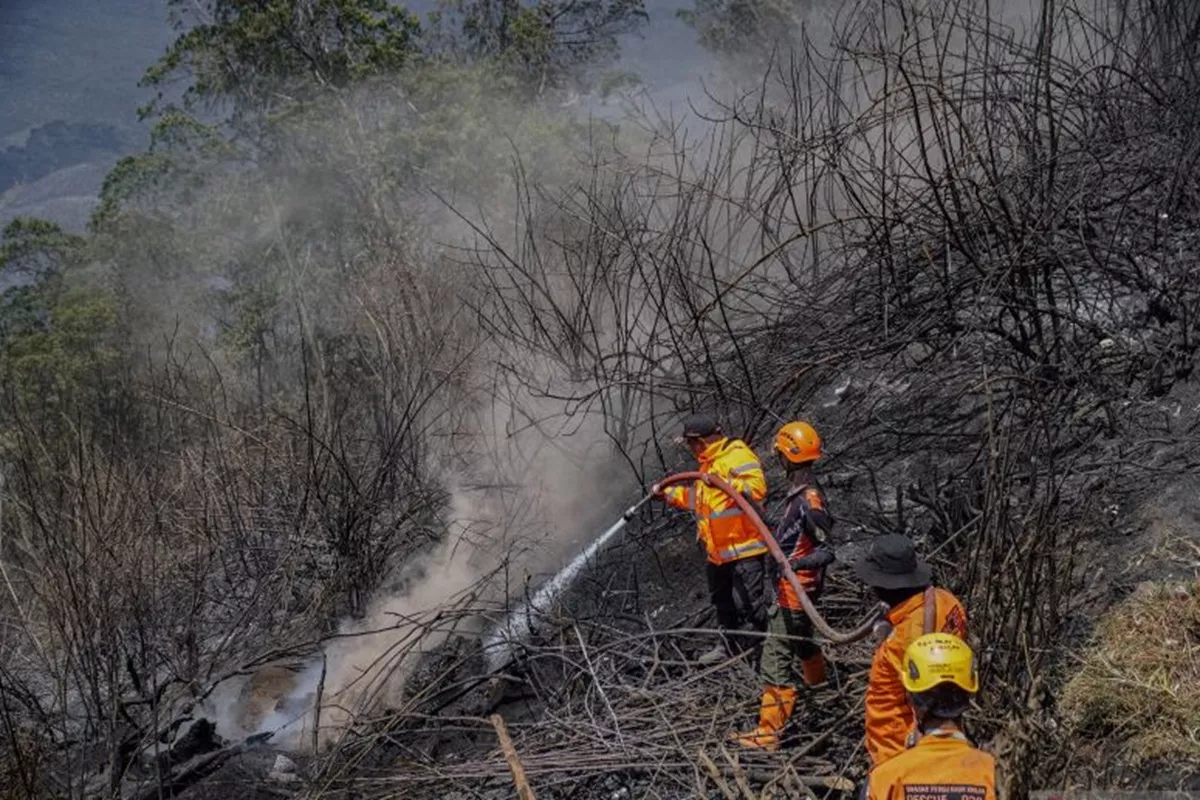 Titik Asap Gunung Bromo Berhasil Dilokalisasi, Petugas Tetap Siaga Cegah Api Kembali