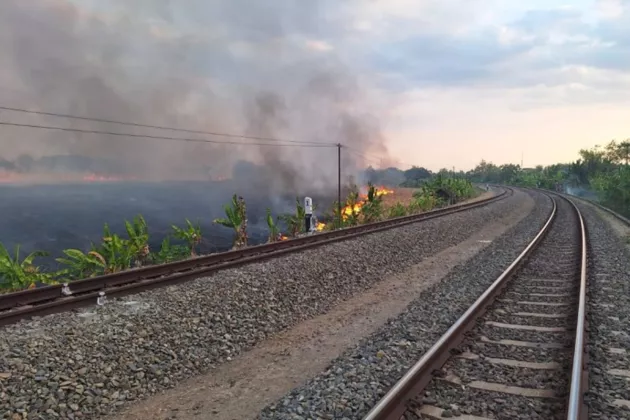 Ingat Ya, Jangan Bakar Sampah di Sekitar Rel Kereta! KAI: Ganggu Jarak Pandang Masinis