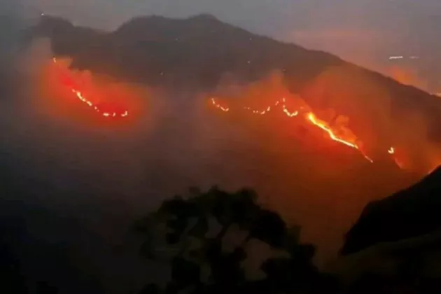 Kebakaran Gunung Rinjani Meluas, 589,23 Hektare Lahan Terdampak