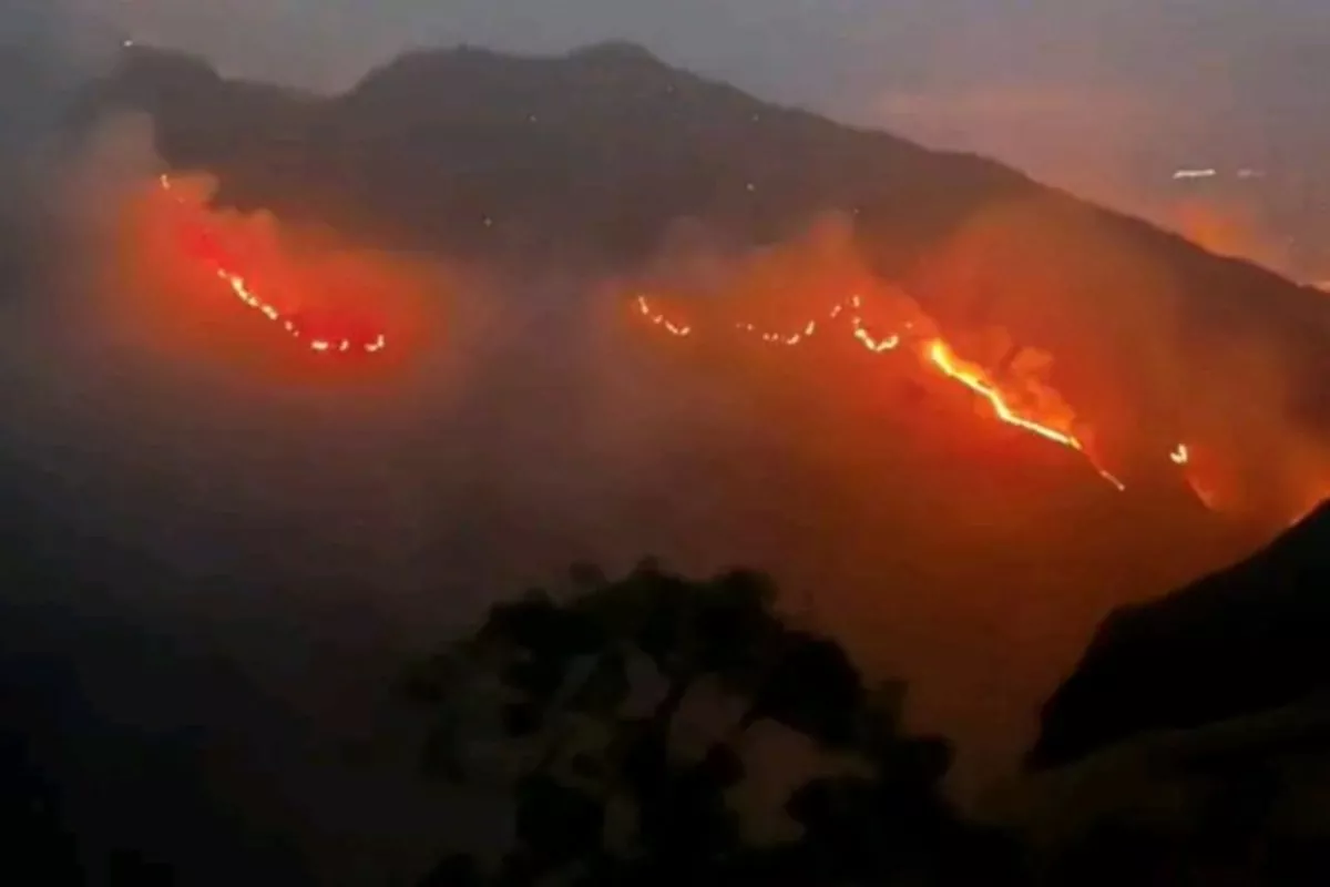 Kebakaran Gunung Rinjani Meluas, 589,23 Hektare Lahan Terdampak