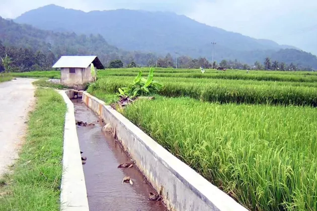 Kekeringan Bayangi 50 Ribu Hektare Sawah, Komisi IV DPR Soroti Program Irigasi