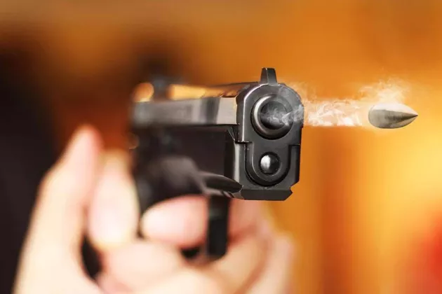 Pelaku Pembunuhan Satu Keluarga di Tulang Bawang Ditembak Mati Polisi