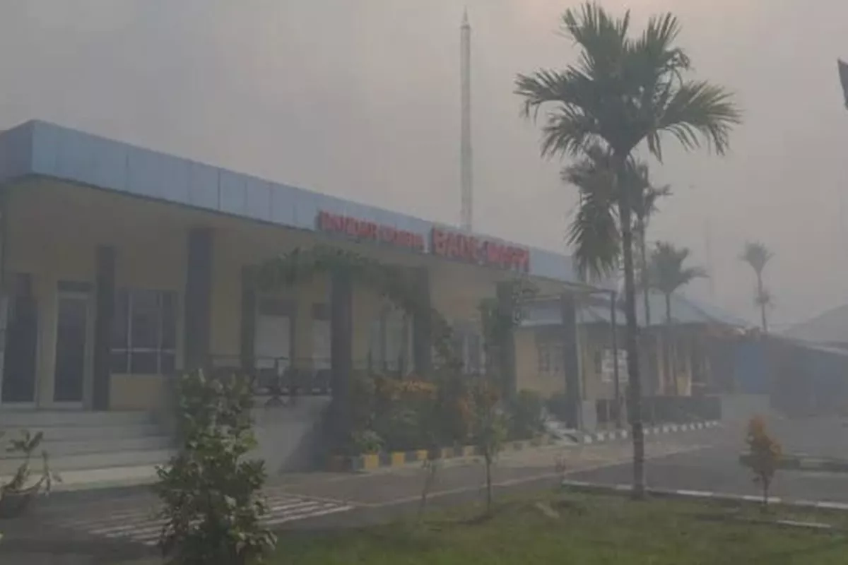 Karhutla Ganggu 16 Bandara di Papua, Ribuan Penerbangan Terdampak Secara Nasional