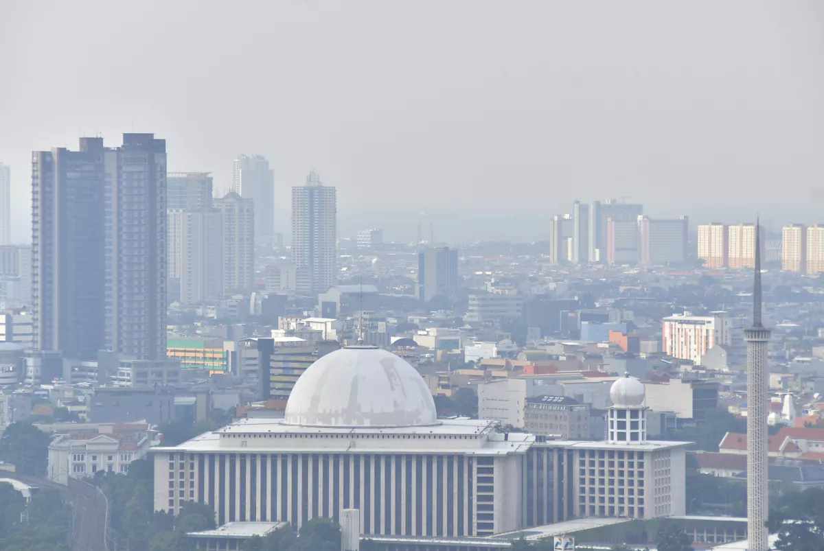 Asap Karhutla dari Kalimantan Berpotensi Capai Jakarta, Ini Penjelasan Ahli