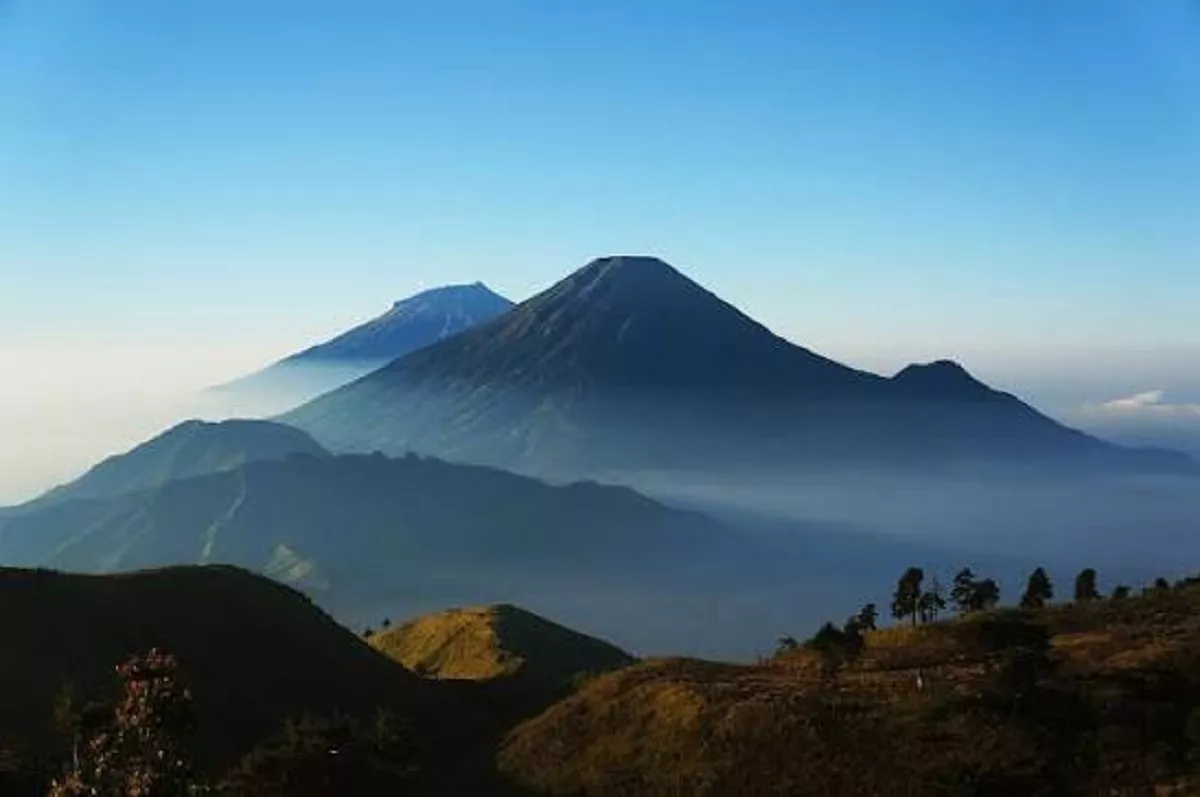 Viral Balita Menangis Sendirian di Tenda Gunung Prau, Orang Tua Sampaikan Permintaan Maaf
