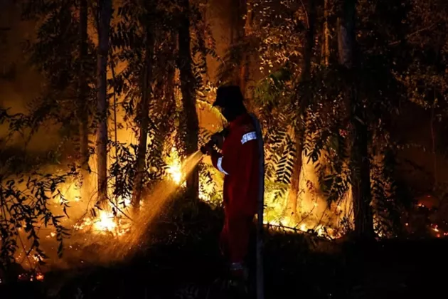 DPR Dukung Polri Bongkar Keterlibatan Korporasi Asing dalam Kasus Karhutla RI