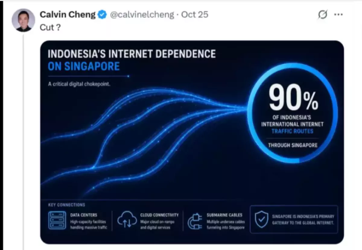 Heboh, Politisi Singapura Ancam Potong Jalur Internet Indonesia