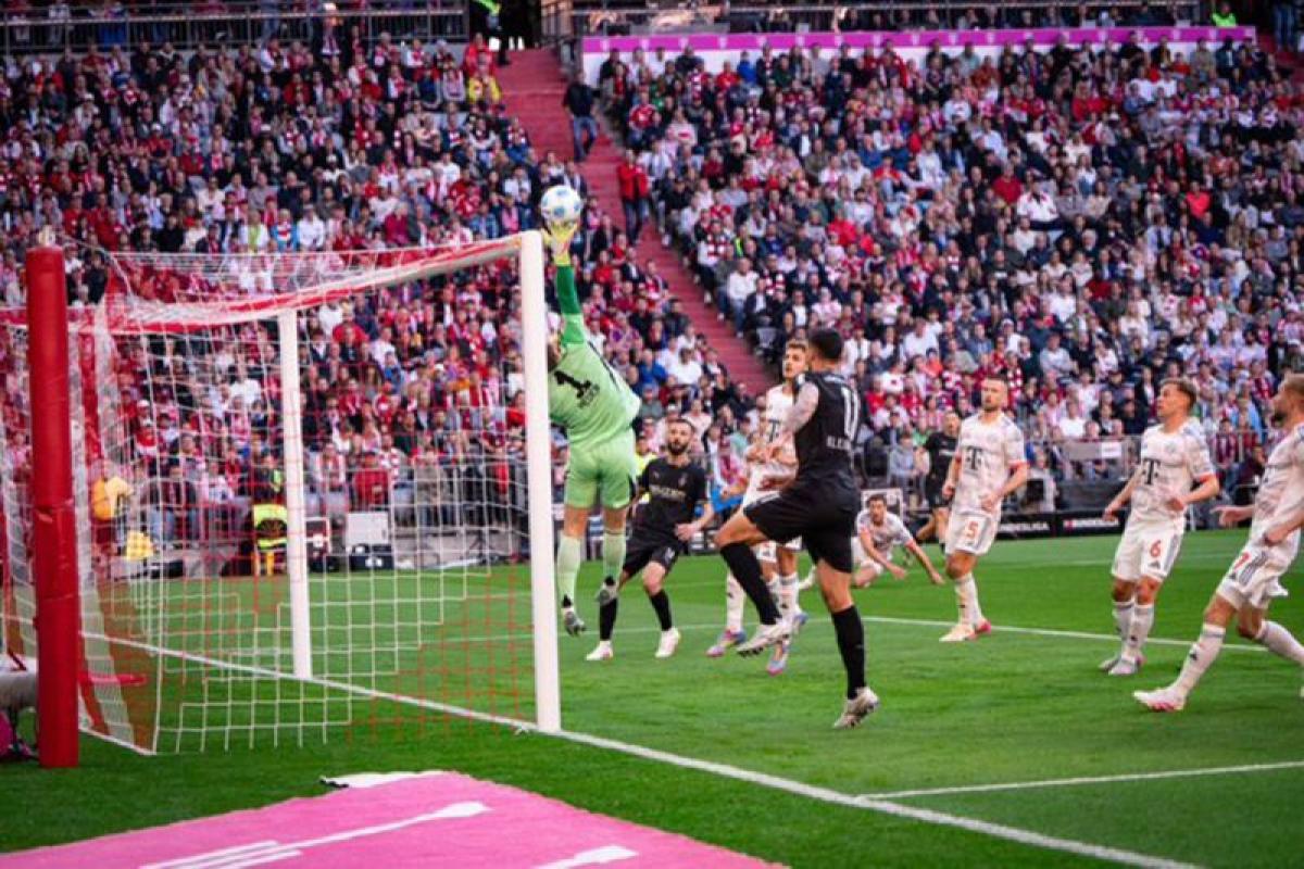 Bayern Muenchen Bungkam Monchengladbach 2-0, Kane dan Olise Jadi Pembeda