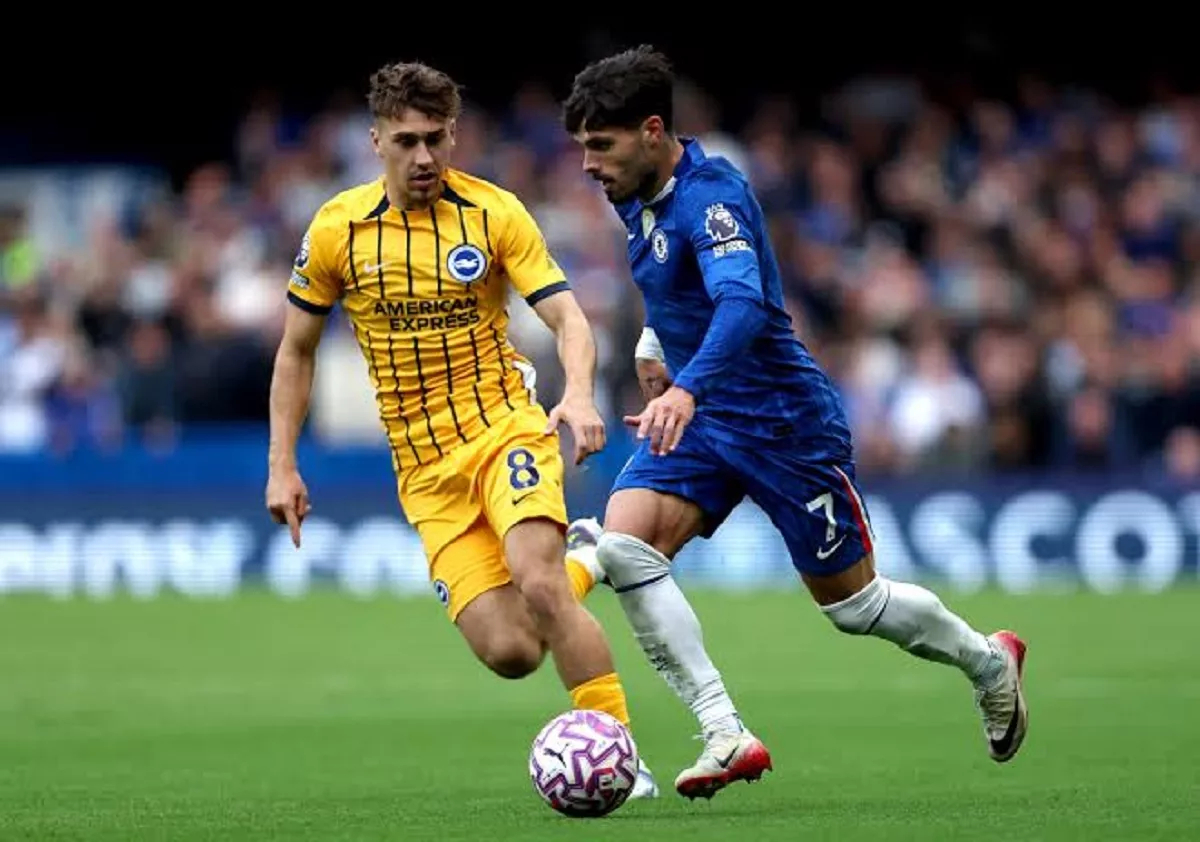 Head to Head Chelsea vs Brighton: Misi The Blues Putus Tren Buruk Empat Kekalahan Beruntun