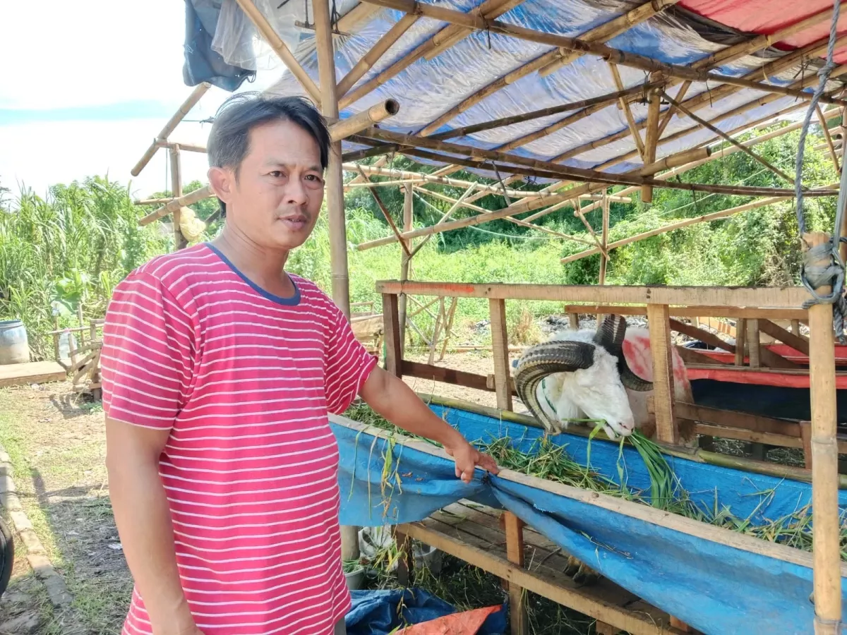 Daya Beli Lesu, Penjualan Hewan Kurban di Kabupaten Tangerang Anjlok