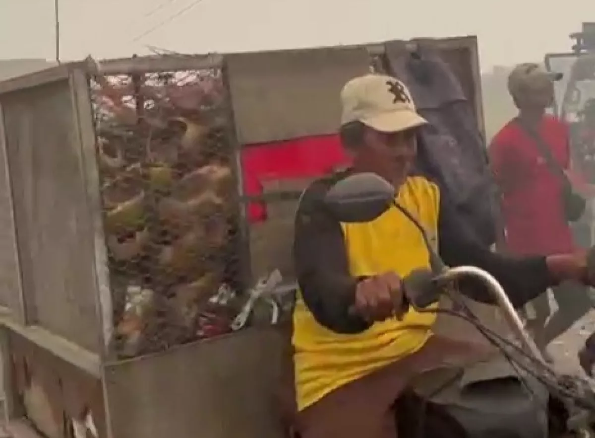 TPA Jatiwaringin Kebakaran, Pengangkutan Sampah di Kabupaten Tangerang Tersendat