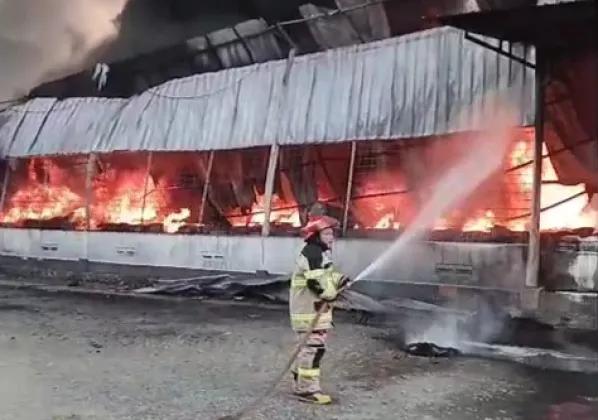 Pabrik Cat di Cisoka Tangerang Ludes Terbakar, Kerugian Capai Rp2 Miliar 